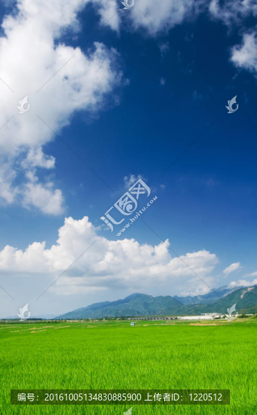 藍(lán)天白云綠色農(nóng)場(chǎng)