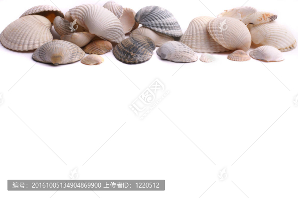從北海貝殼做背景