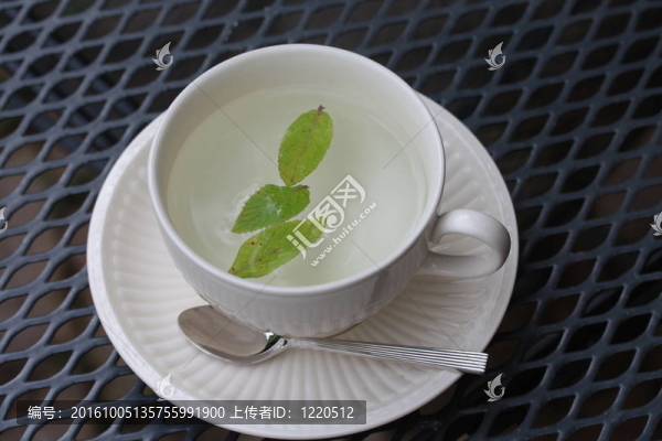 茶杯里的薄荷葉