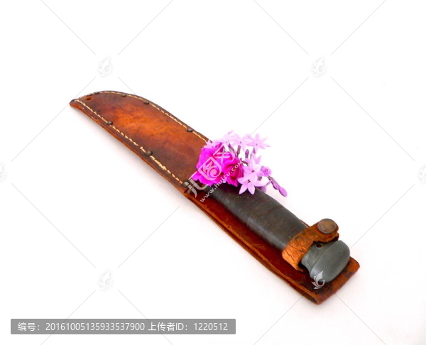 保衛(wèi)夫人的武器