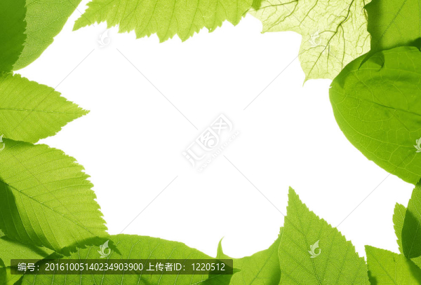白色背景下的邊框