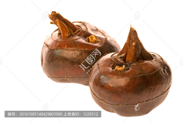 荸薺