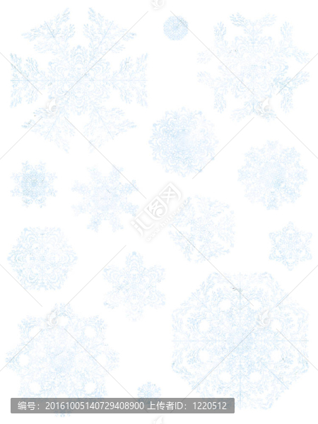 紙