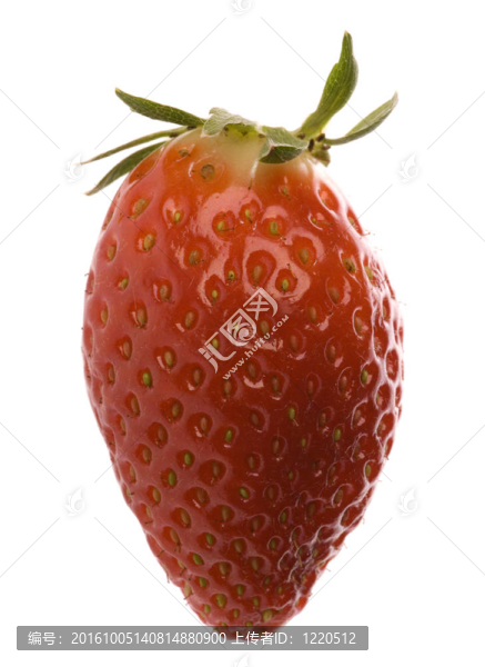 Strawberry分離
