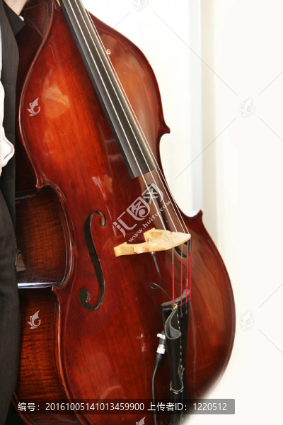 低音提琴