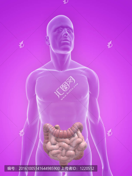 結(jié)腸癌和腸
