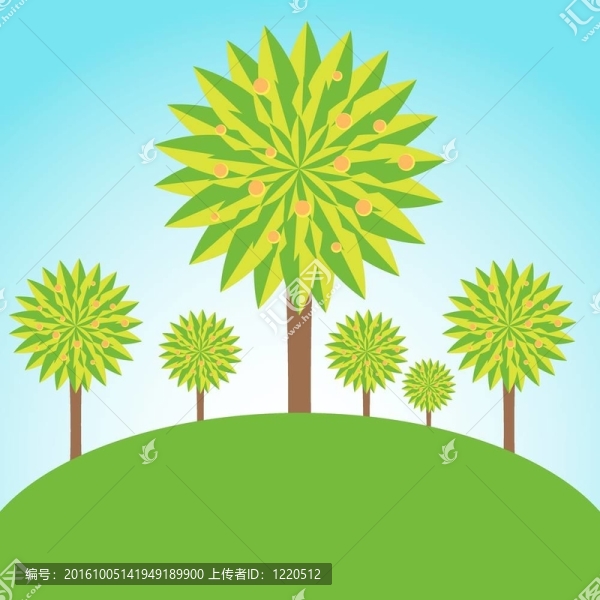 橘子樹