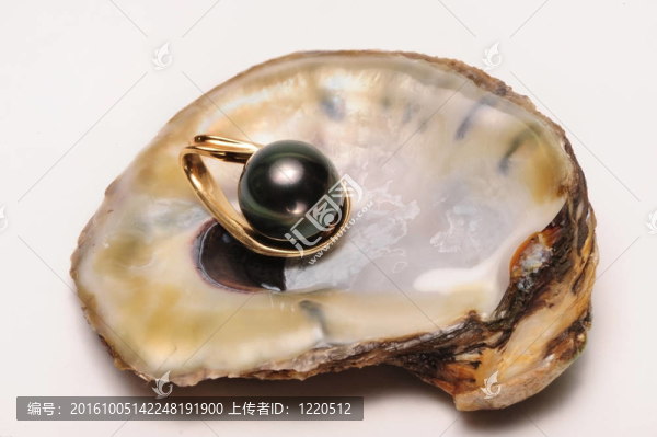 黑珍珠