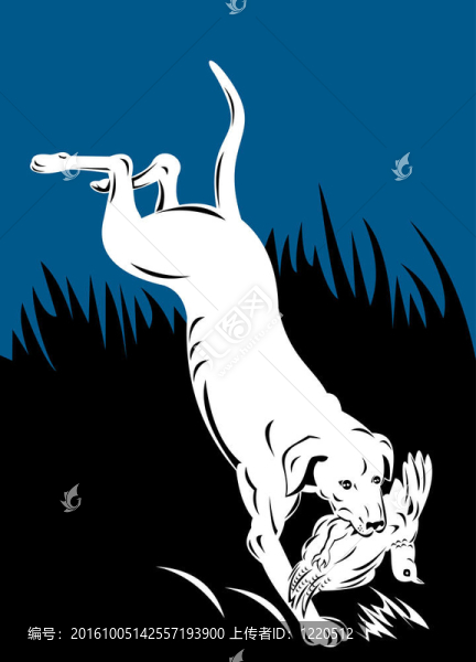 指針犬野雞