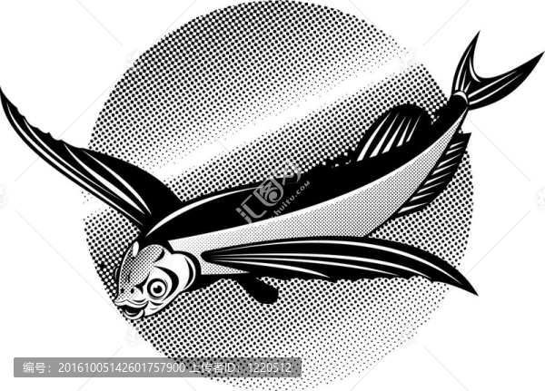 會飛的魚