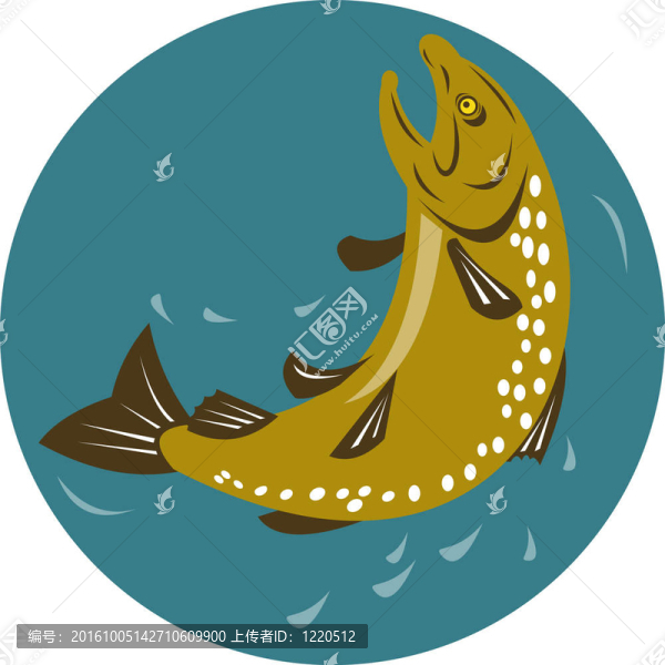 右側(cè)跳鱒魚