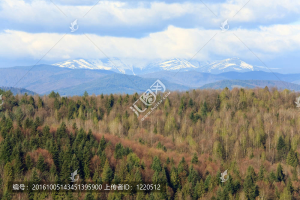 山地景觀