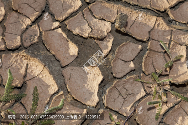 地球環(huán)境破裂氣候變化概念照片