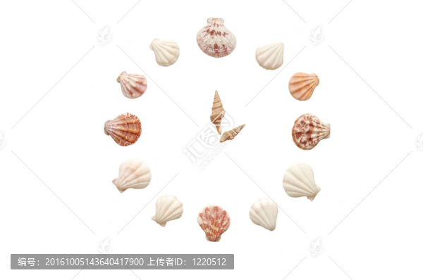 從海扇殼孤立在白色背景的時(shí)鐘
