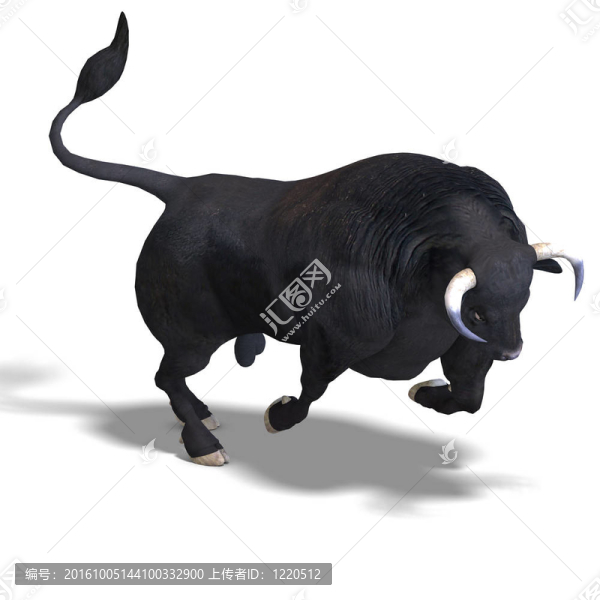 黑色的公牛準(zhǔn)備戰(zhàn)斗
