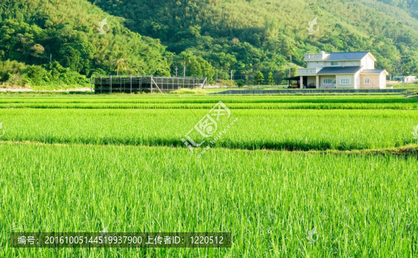 綠色農(nóng)場(chǎng)與小村莊景觀