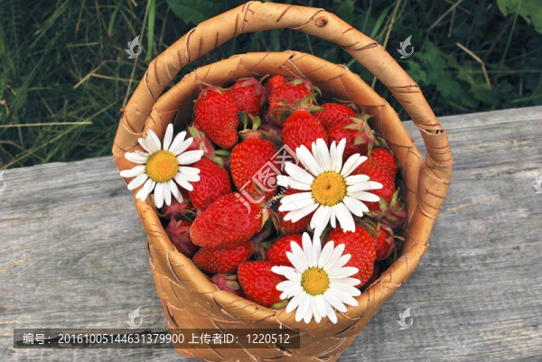 草莓籃