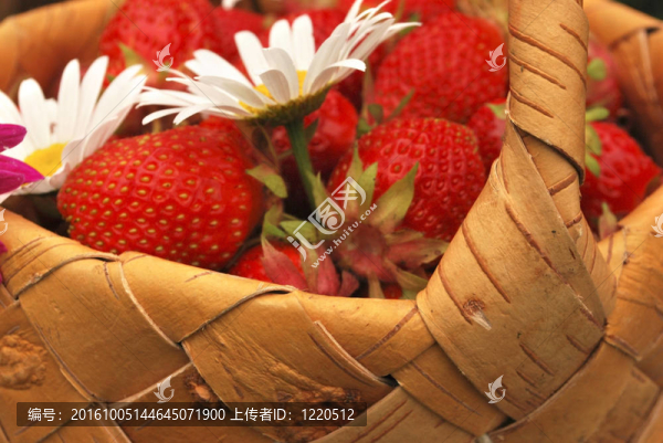 草莓籃