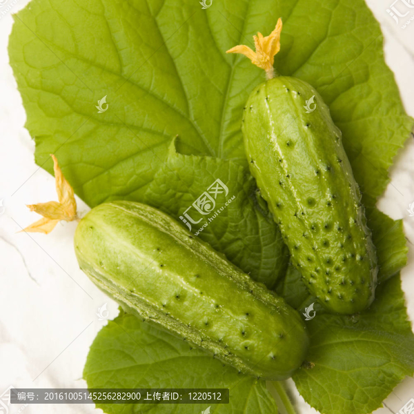 兩根黃瓜