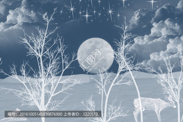 寂靜的夜晚