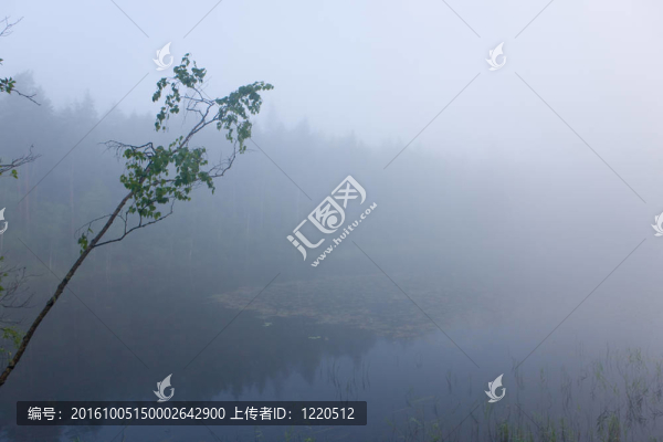 強(qiáng)大的晨霧