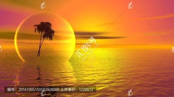 棕櫚樹上的泡沫