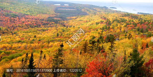 美麗的秋天的風景