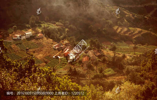 農(nóng)業(yè)Terraces,Gomera