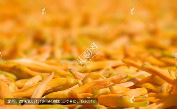 中藥曬金針。