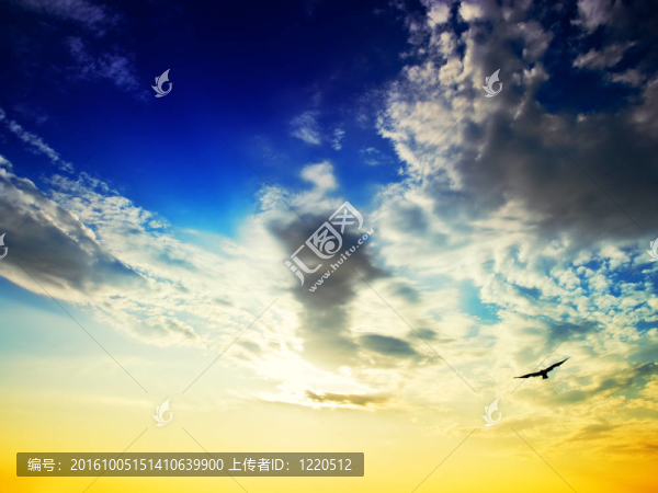 海鷗的天空