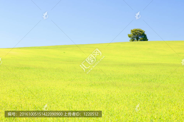孤獨(dú)的