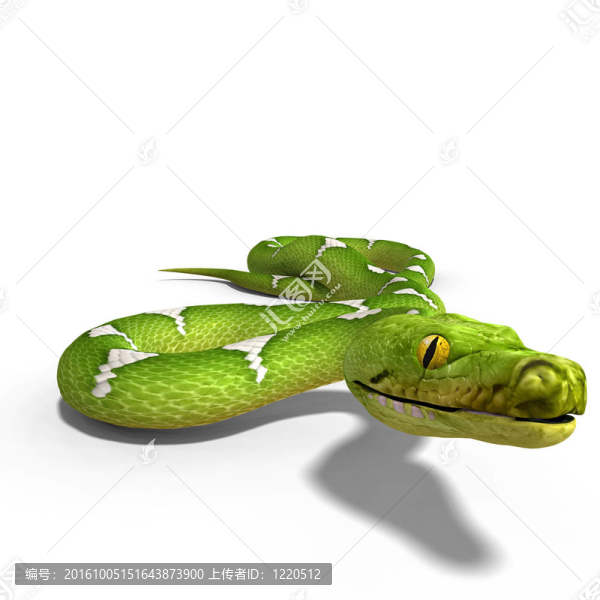 綠樹蟒