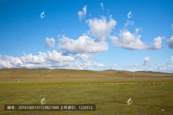 草地場景