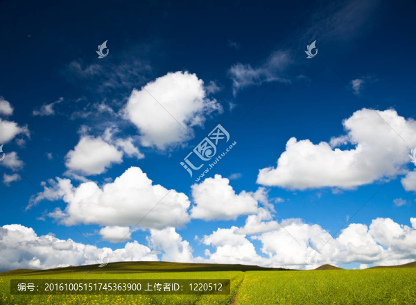 草地場景