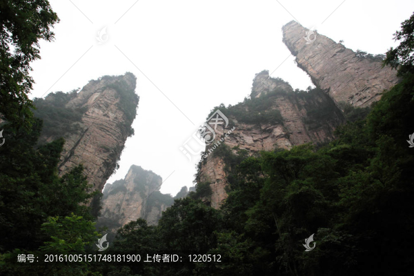 中國-張家界國家森林公園
