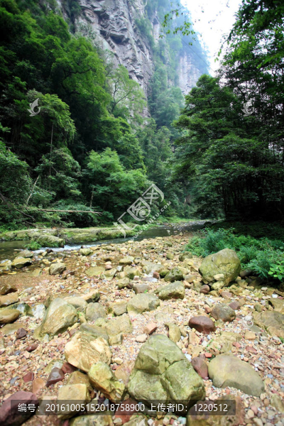 中國-張家界國家森林公園