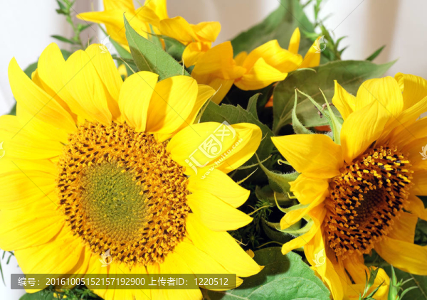 向日葵花束