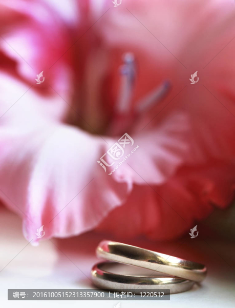 結(jié)婚戒指