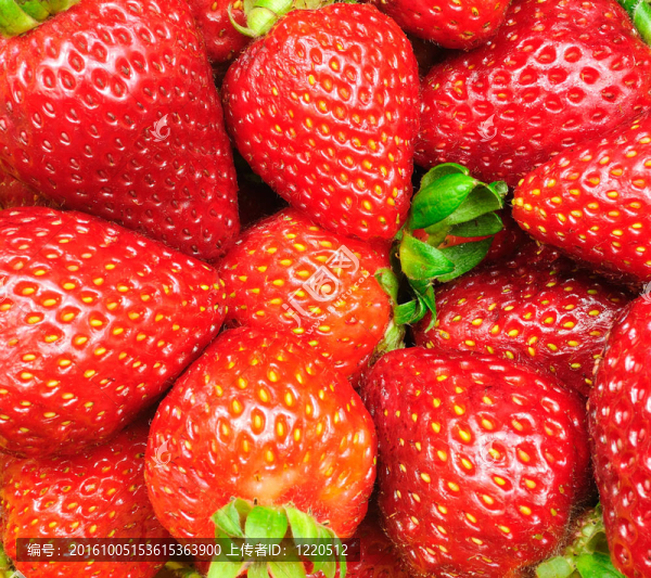 Strawberry的背景