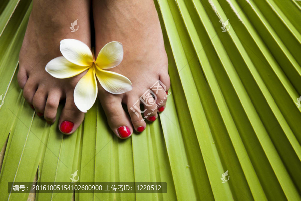熱帶footspa