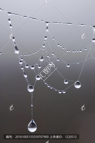 雨滴
