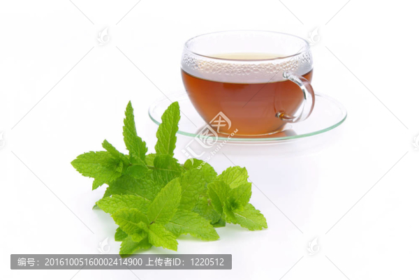 茶薄荷12
