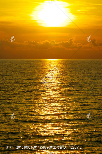 海