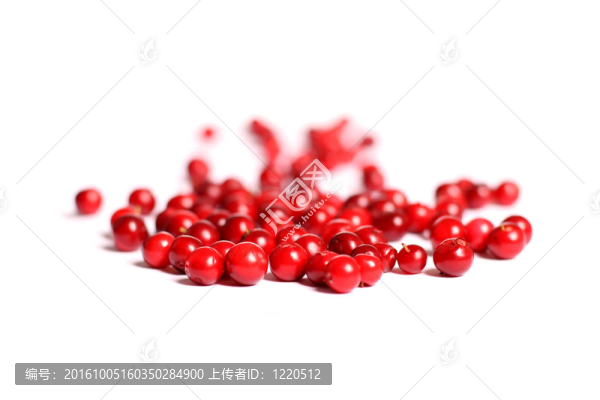 紅色的小紅莓。