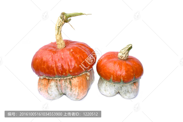 兩裝飾南瓜