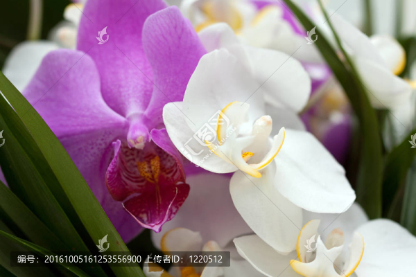 婚禮鮮花