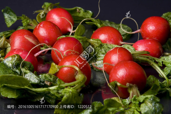 甜菜