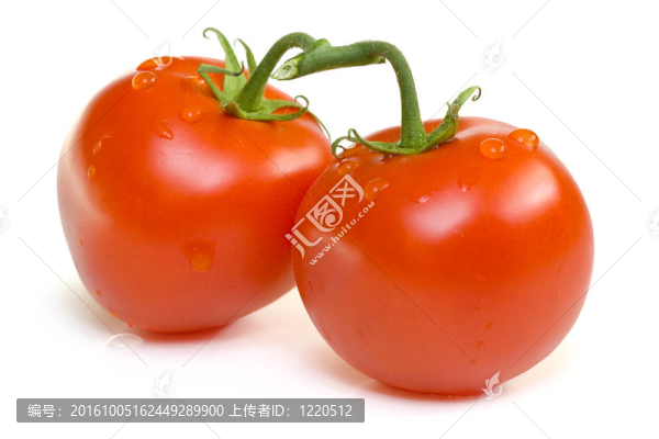 番茄