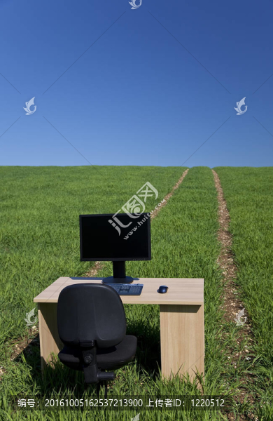 帶路徑的綠地桌面和計算機