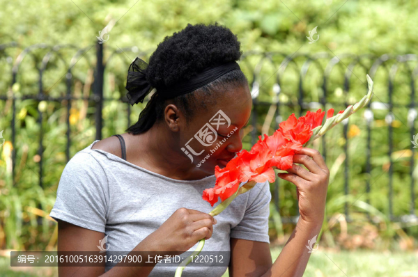 聞花
